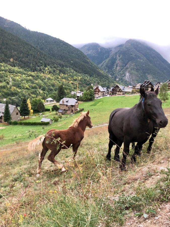 Espacioso Ap En Gessa Dış mekan fotoğraf